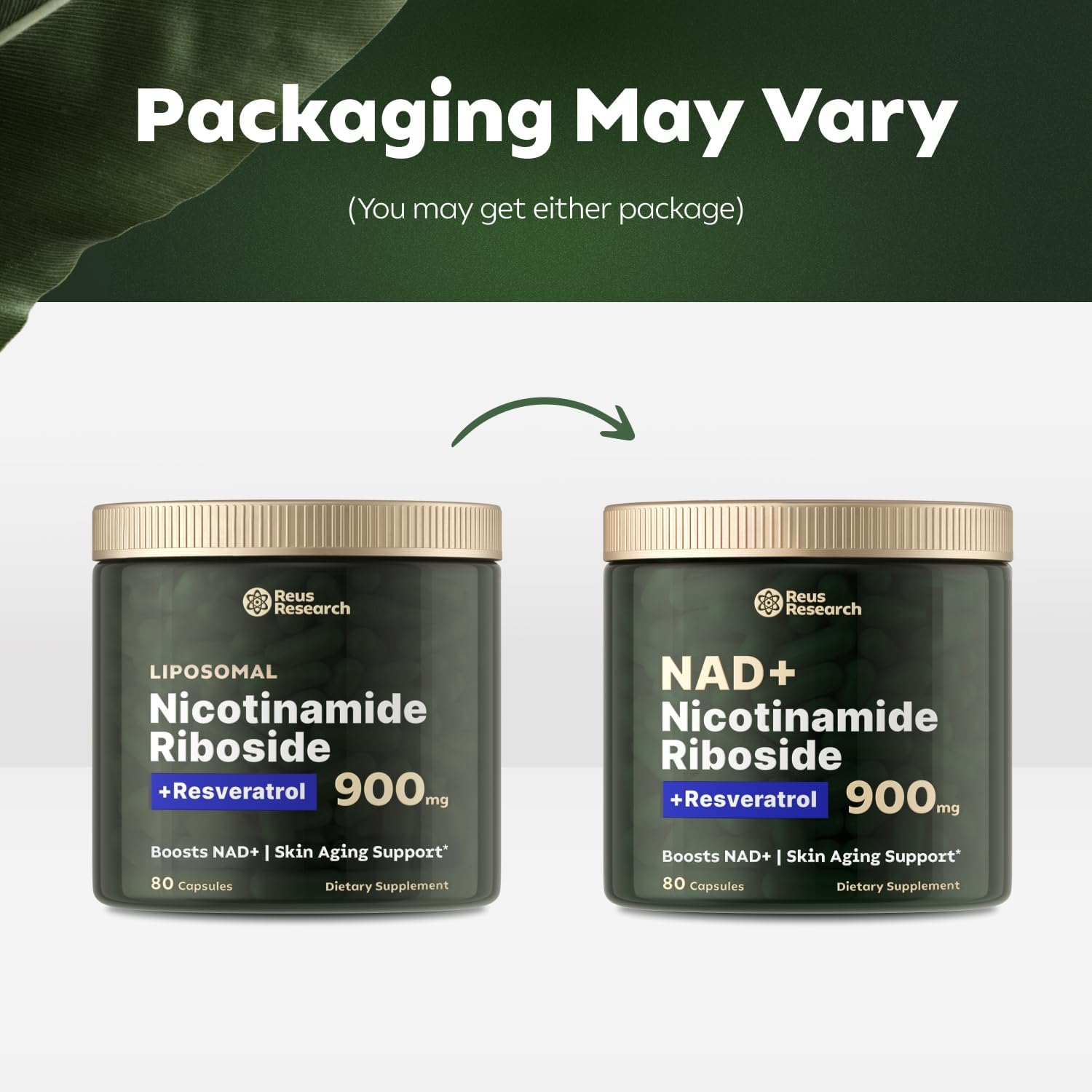 Reus Research NR900 - NAD+ Supplement for Skin Aging Support, Energy, and Focus - 80